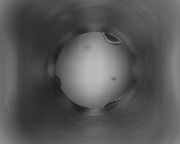 X0000103170093200808291519