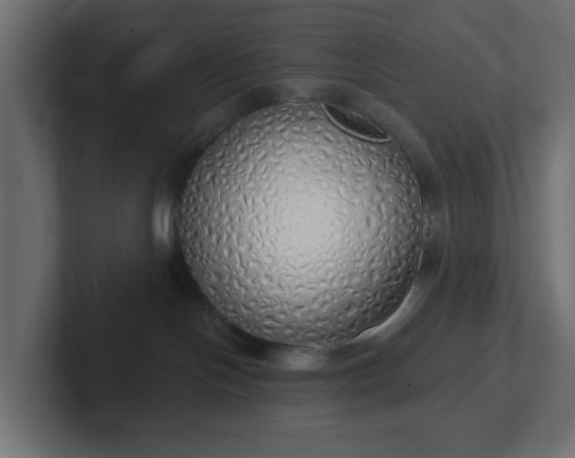 X0000103170094200808291519