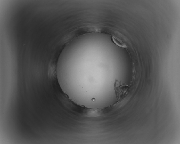 X0000103170096200808291519