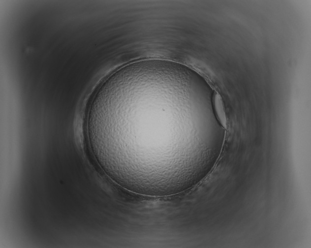 X0000103170098200808291518