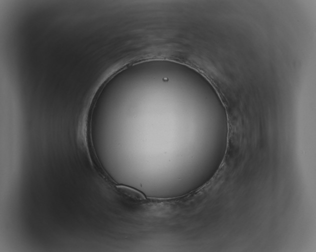 X0000103170100200808291518