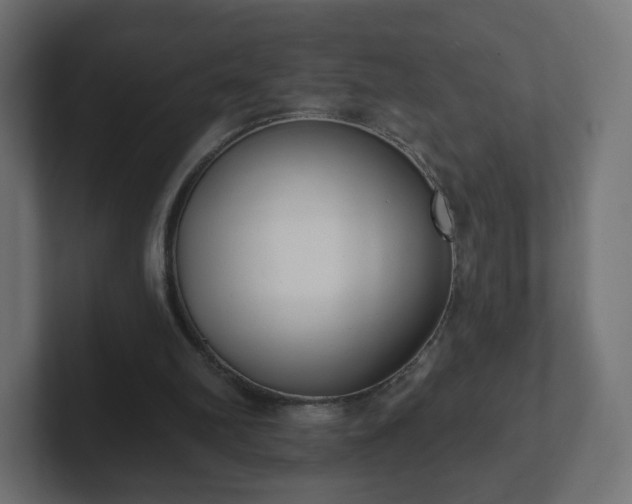 X0000103170102200808291518