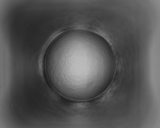 X0000103170103200808291518