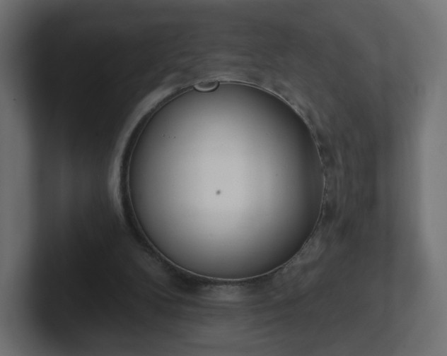 X0000103170104200808291518