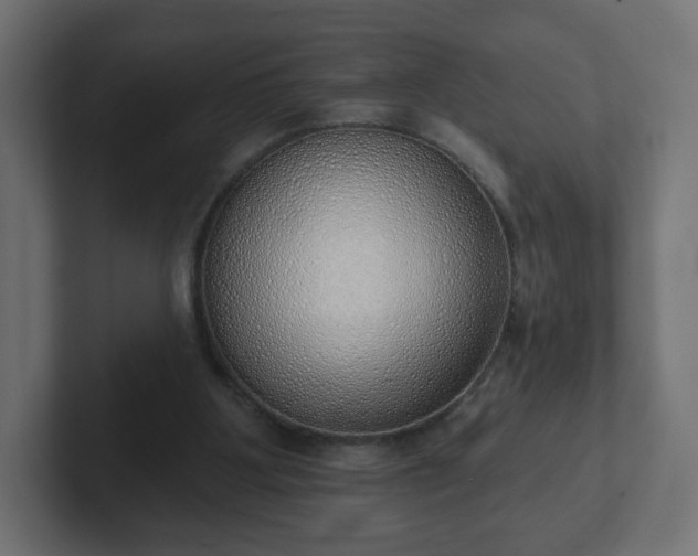 X0000103170107200808291518