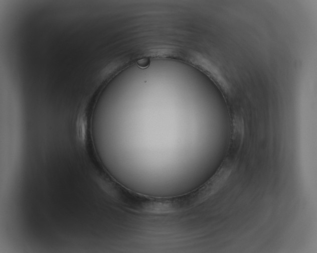 X0000103170110200808291518