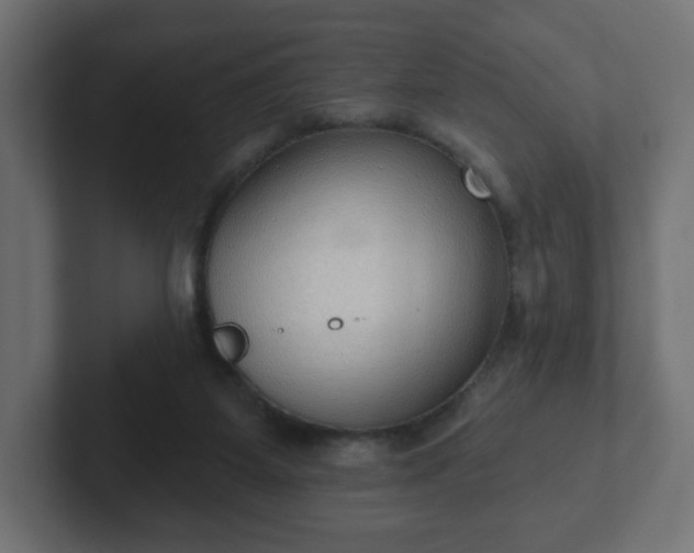 X0000103170115200808291518