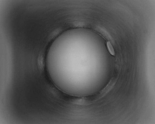 X0000103170116200808291518