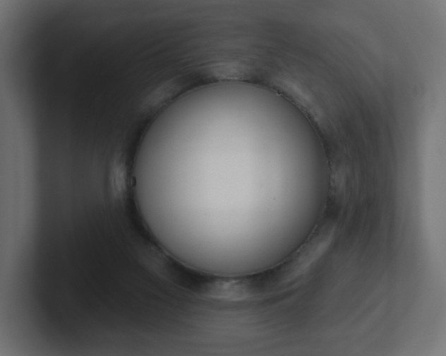 X0000103170117200808291518