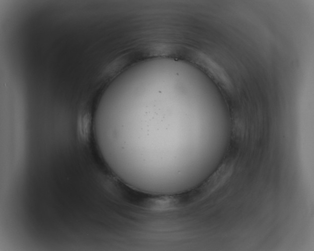 X0000103170118200808291518