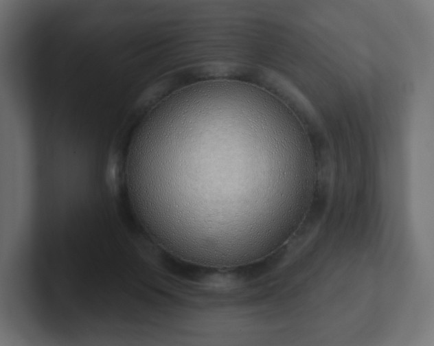 X0000103170119200808291518