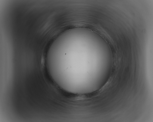 X0000103170124200808291518