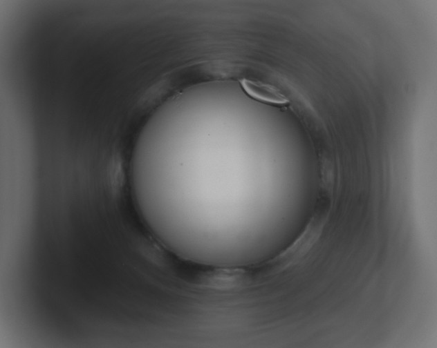 X0000103170128200808291518