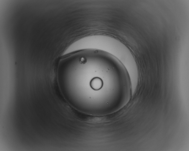 X0000103170129200808291518