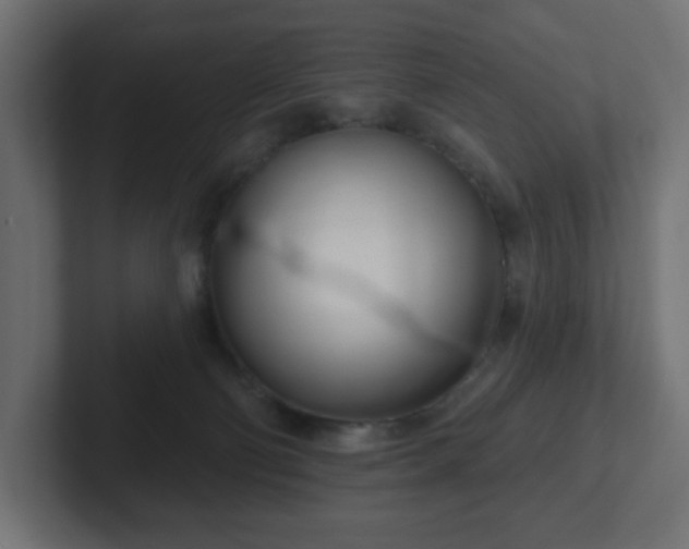 X0000103170130200808291518