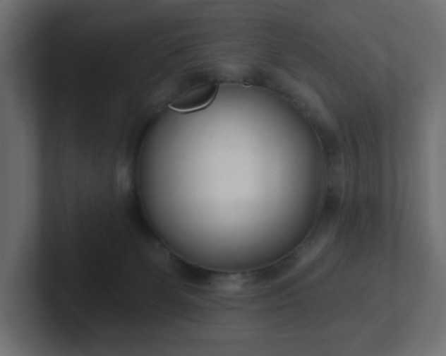 X0000103170131200808291518