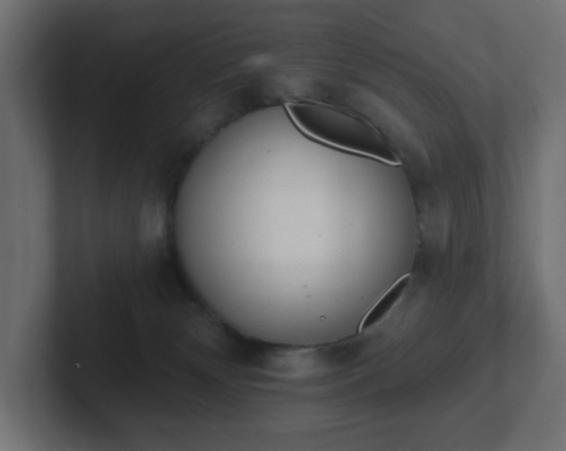 X0000103170132200808291518