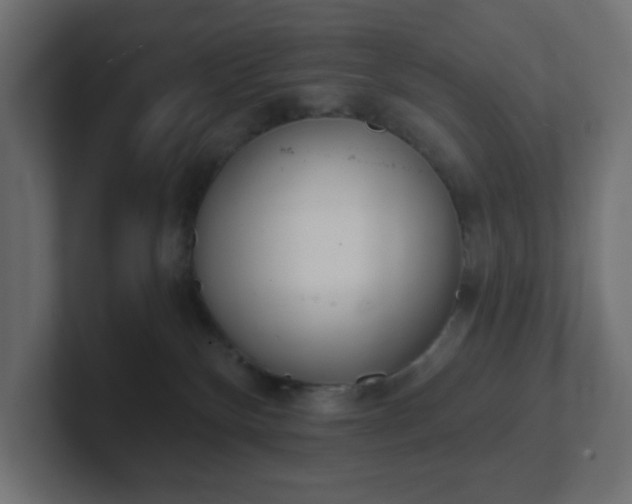 X0000103170136200808291518