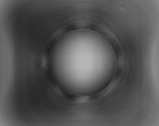 X0000103170138200808291518