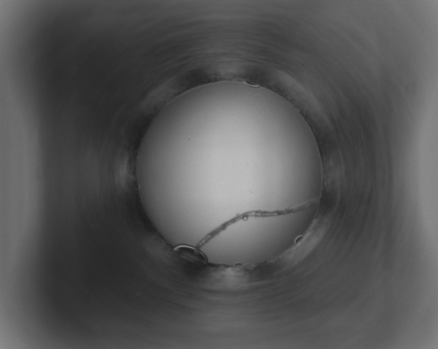 X0000103170140200808291518