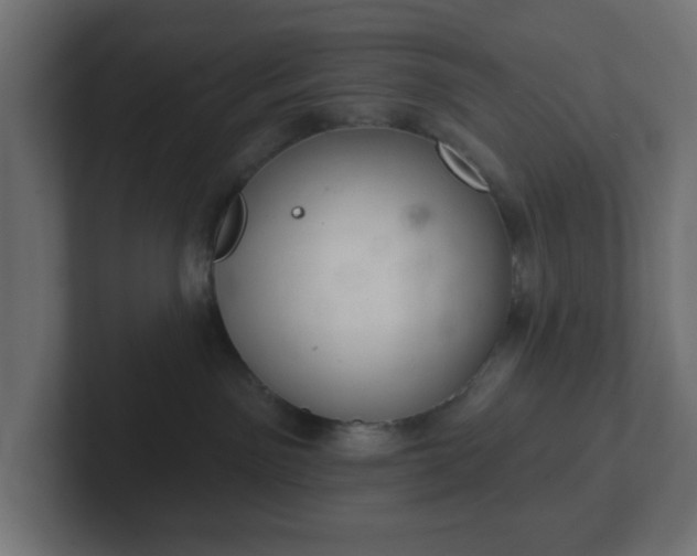 X0000103170141200808291518