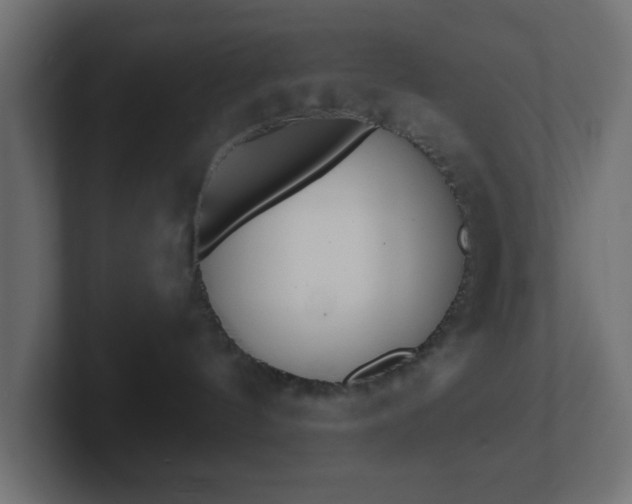 X0000103170144200808291518