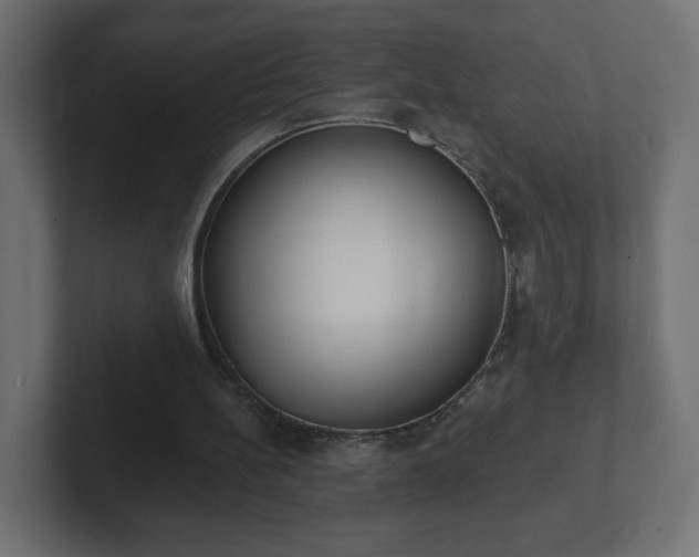 X0000103170148200808291517