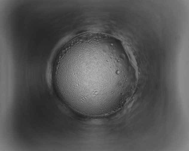 X0000103170149200808291517