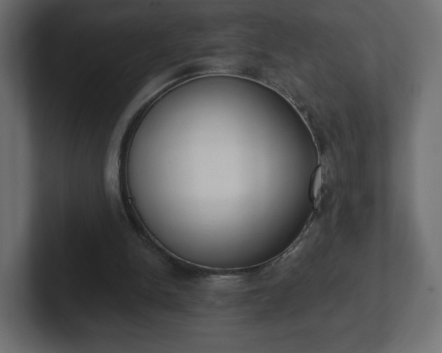 X0000103170150200808291517