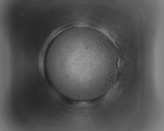 X0000103170151200808291517