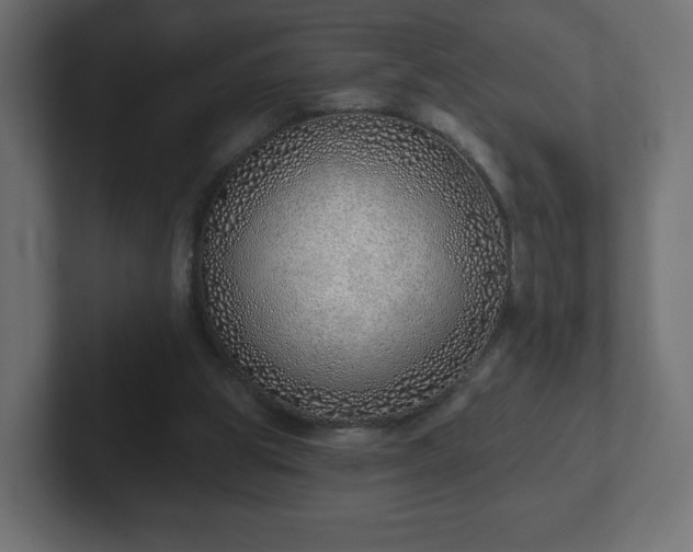 X0000103170153200808291517