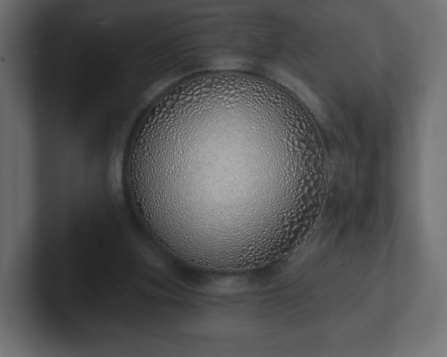 X0000103170155200808291517