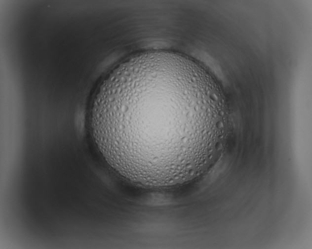 X0000103170159200808291517