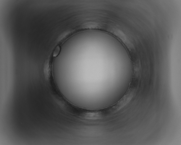 X0000103170160200808291517