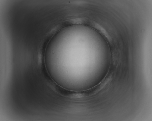 X0000103170161200808291517