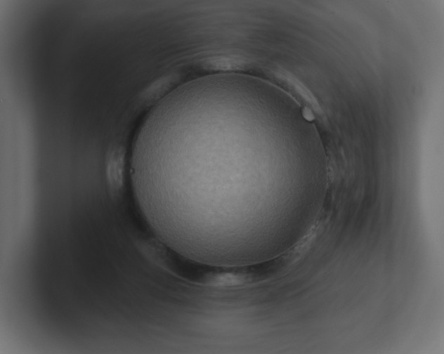 X0000103170163200808291517