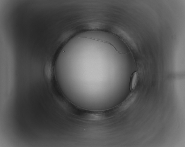 X0000103170164200808291517