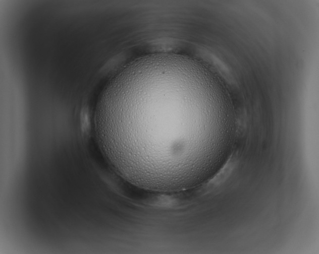 X0000103170166200808291517