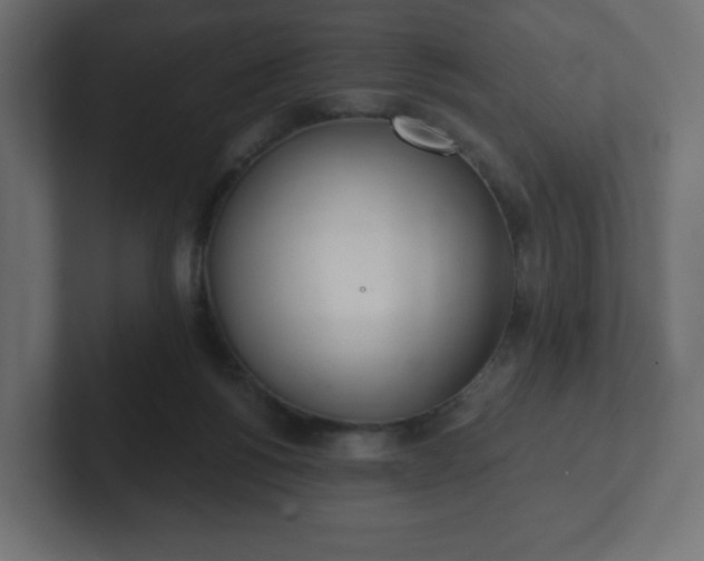 X0000103170168200808291517