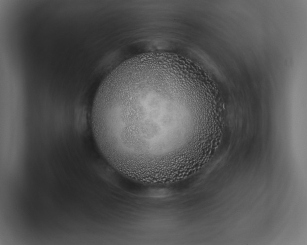 X0000103170169200808291517