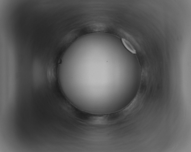 X0000103170170200808291517