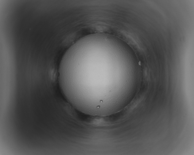 X0000103170177200808291517