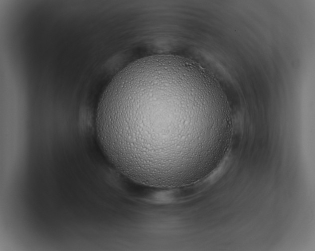 X0000103170178200808291517