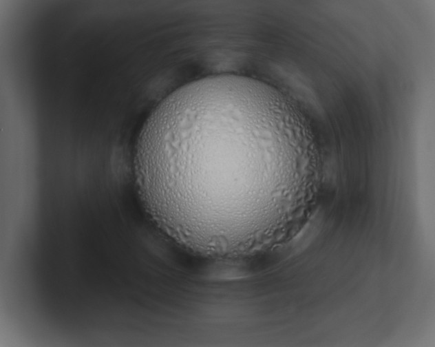 X0000103170179200808291517