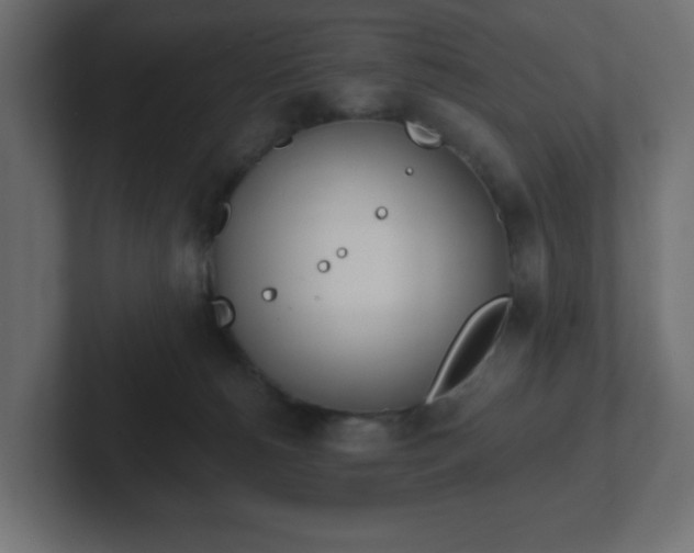 X0000103170180200808291517