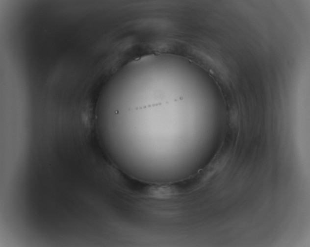 X0000103170181200808291518