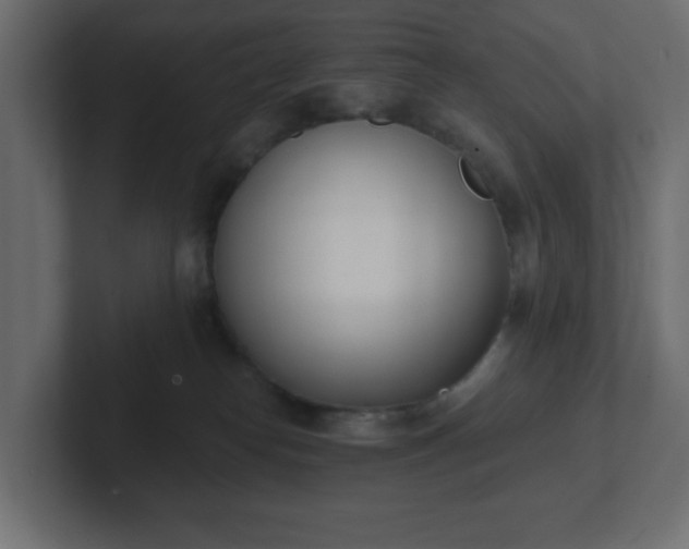 X0000103170182200808291518