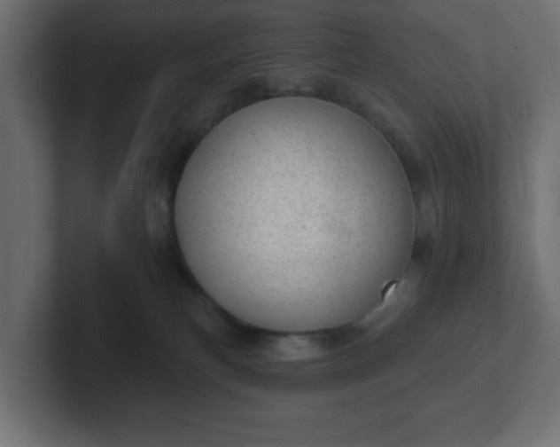 X0000103170183200808291518