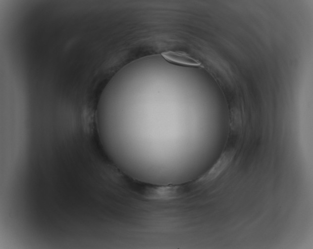 X0000103170184200808291518