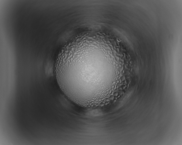 X0000103170185200808291518